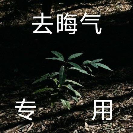 开屏看到鬼了啊啊啊啊啊啊