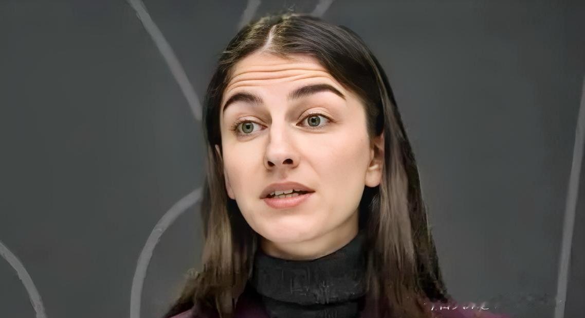 瑞典部长劝别买中国低价电商货，2024年底圣诞购物季前夕，瑞典气候和环境部长普尔