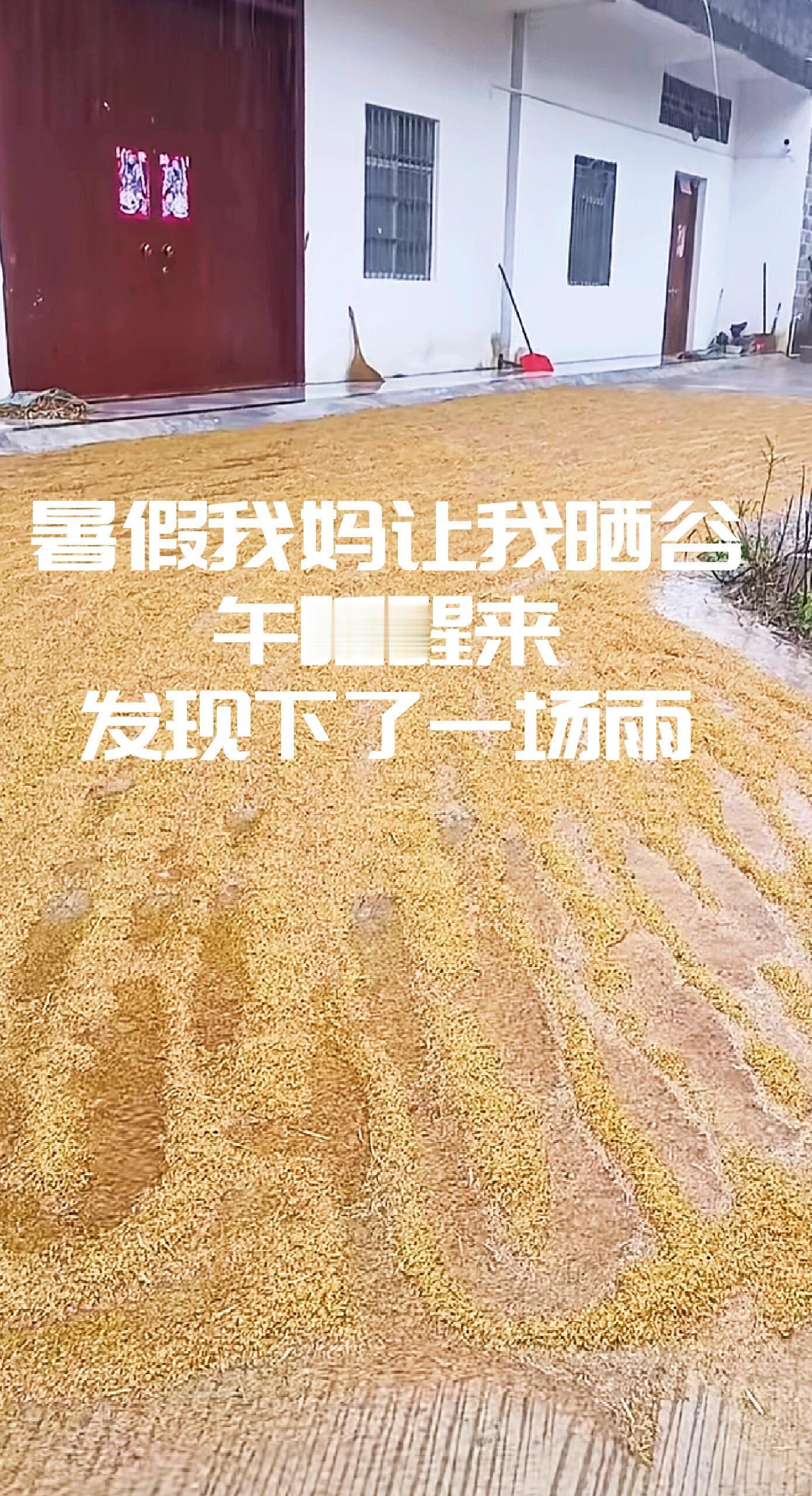 准备好上农村最高军事法庭吧哈哈哈哈哈哈​​​