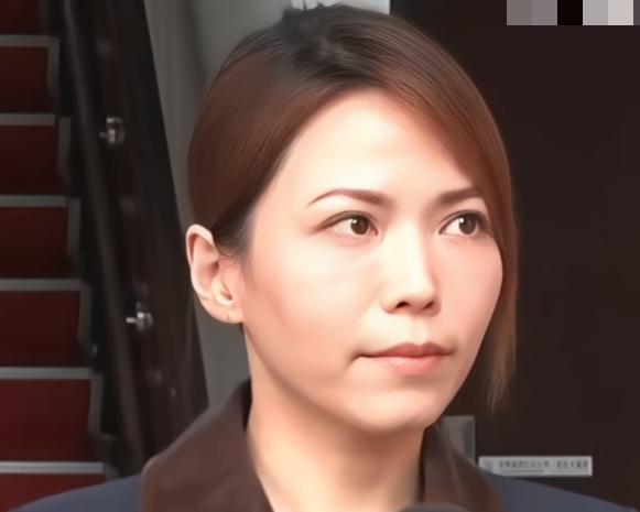 民众党陈智菡针对李贞秀的说法，迅速出来对媒体做了澄清，她说李贞秀有迫害妄想症，在