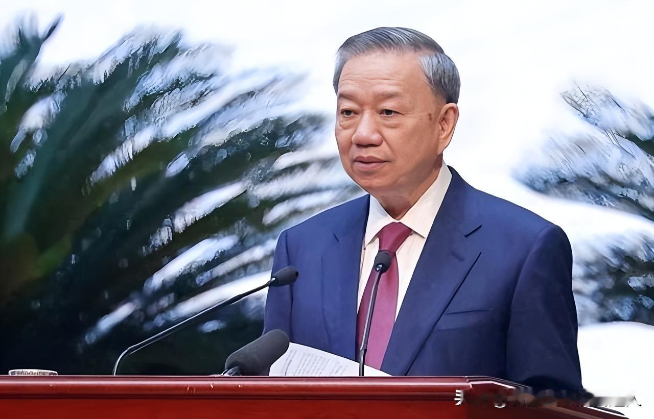 别天真了，现在的越南只有一个声音！所谓的“四驾马车”制衡机制，在阮富仲时代的“熔