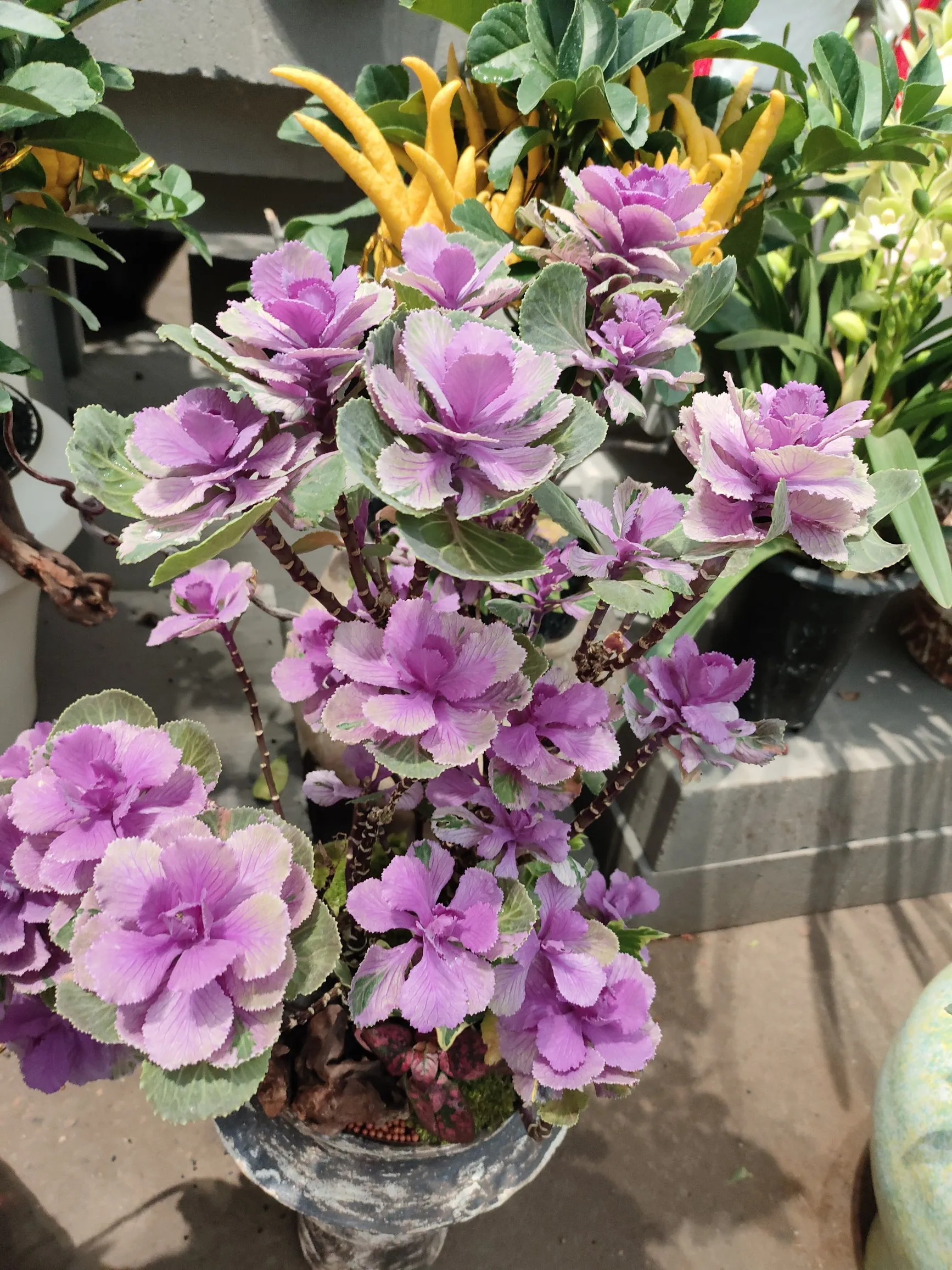 一个人说地震了，家里东西在晃，但好多人说没感觉。今天都市快报报道了昨...