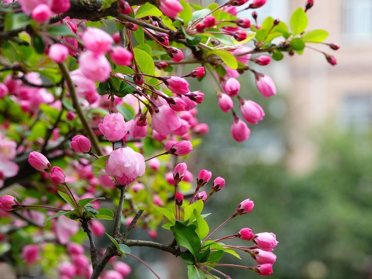 被人误解很正常，哪怕是你最亲的人。不要总盼着别人跟你想到一起，毕竟心不同，想法就