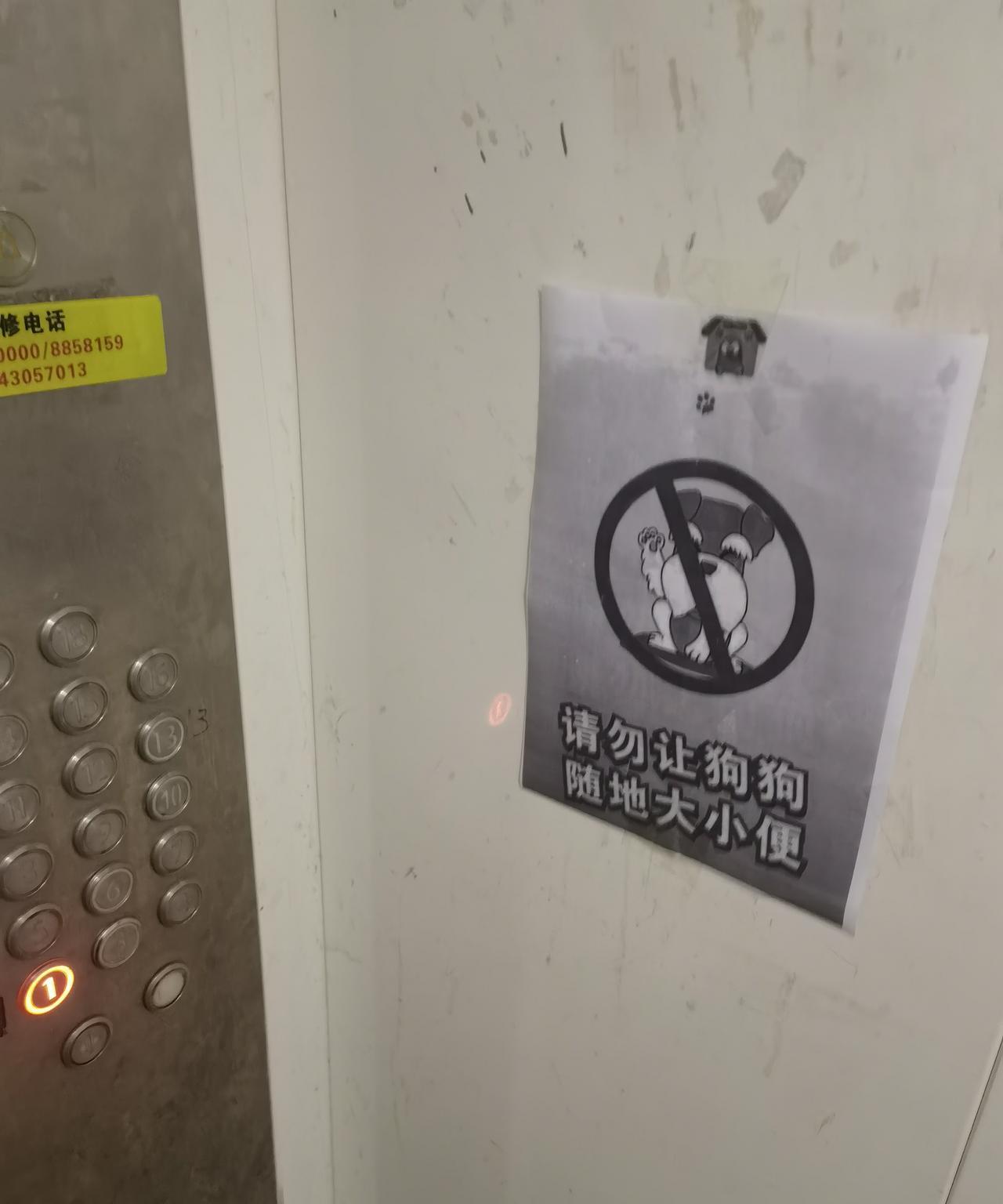 那些养狗的能不能有点公德心？？？？今天着急出门，走的快了点，没有注意脚下的路，