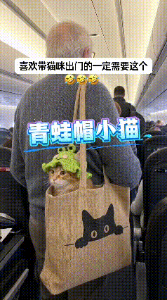 刷到这一幕，实在是太可爱了。小橘猫待在帆布猫包里面，头上戴着一顶绿油油的青蛙针