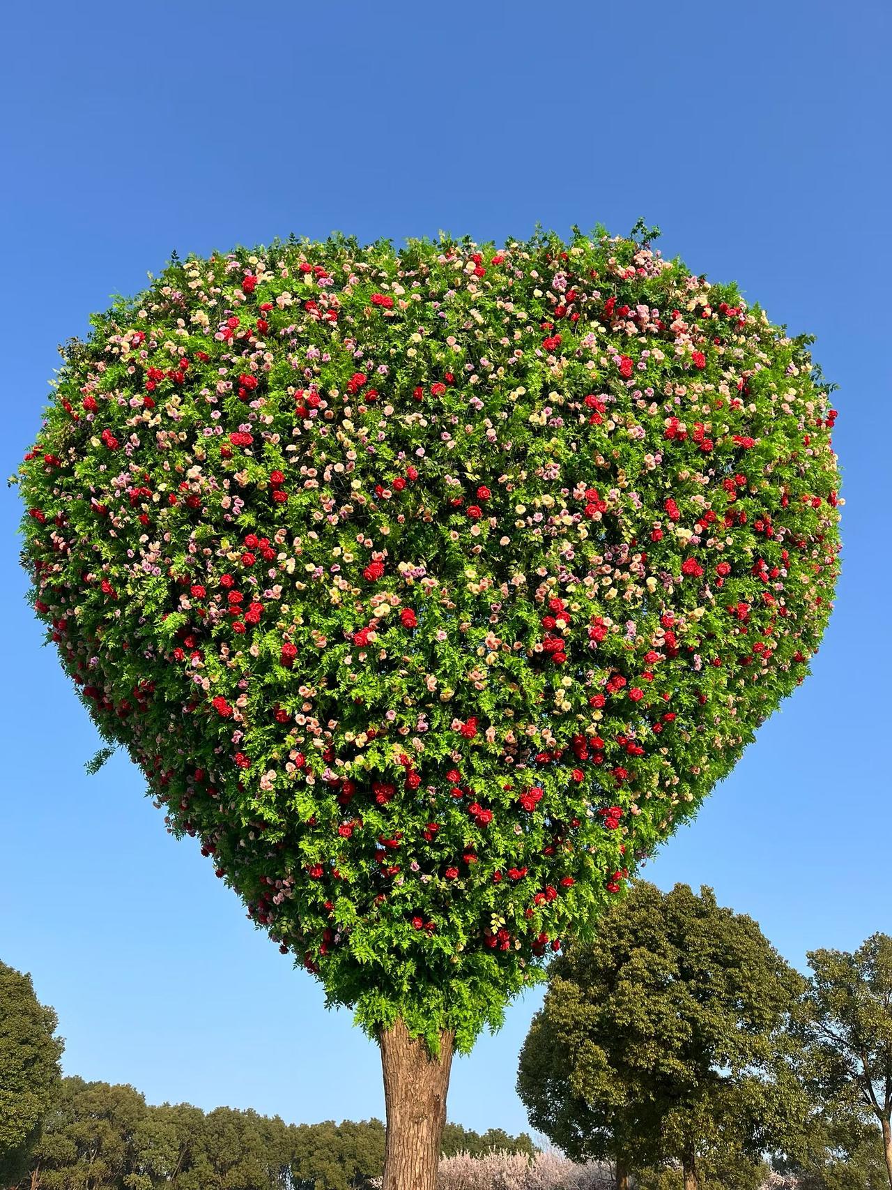 张雪峰的8句话：教育高考1、孩子你记住，所有的五百强企业都人模狗样得强调“