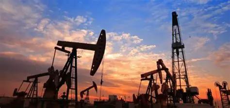 日本传来新消息！3月11号傍晚，日本首相高市早苗一声令下，让产业大臣赶紧出手控