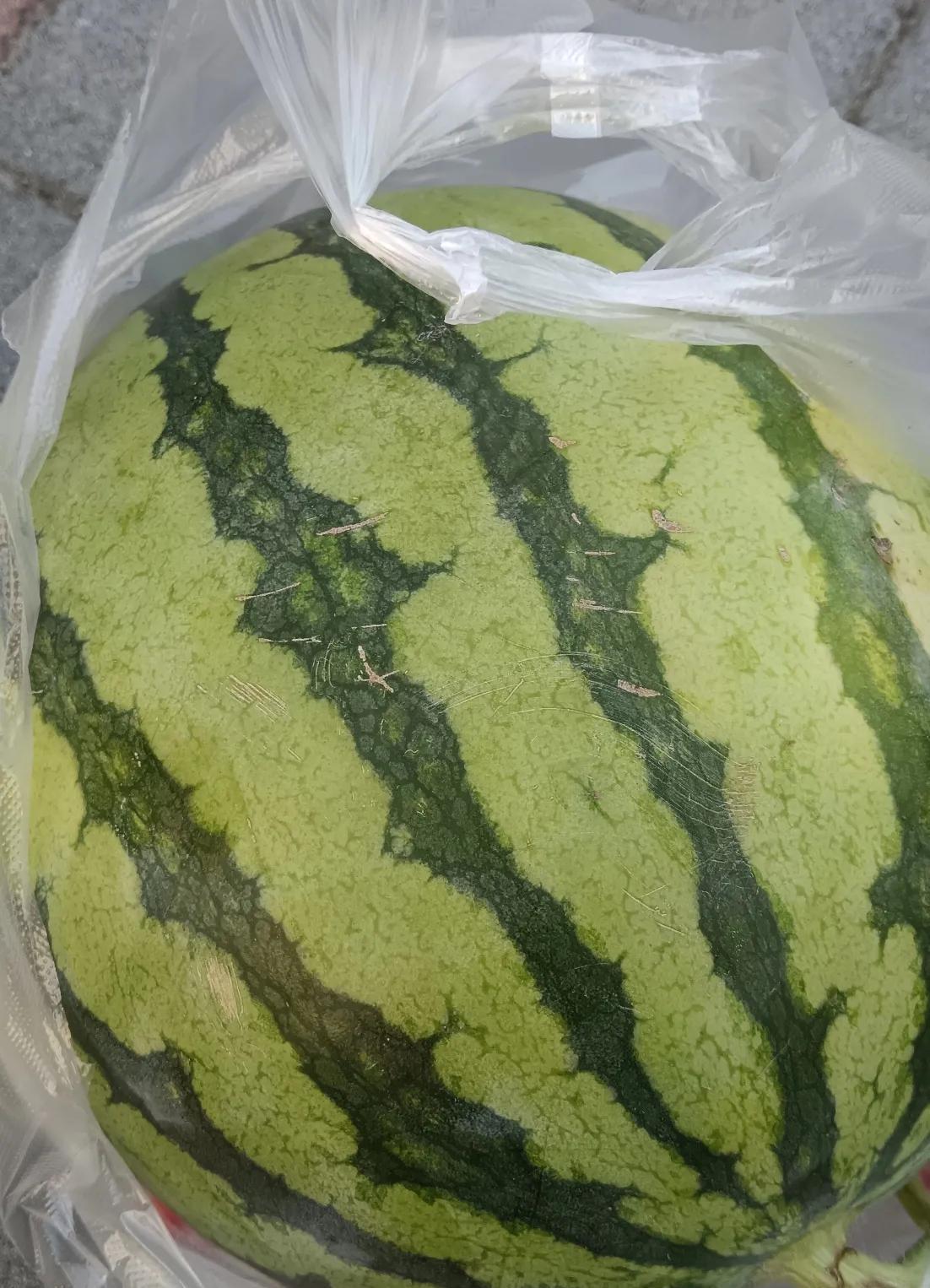 昨天我们正在吃晚饭，房客打电话给老六，“郑老师，孩子高考完了，我们搬走了，钥匙放