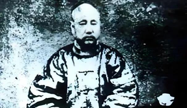 1865年，一名16岁捻军小兵在麦田发现一名受了重伤的清军将领。小兵也不知道对方