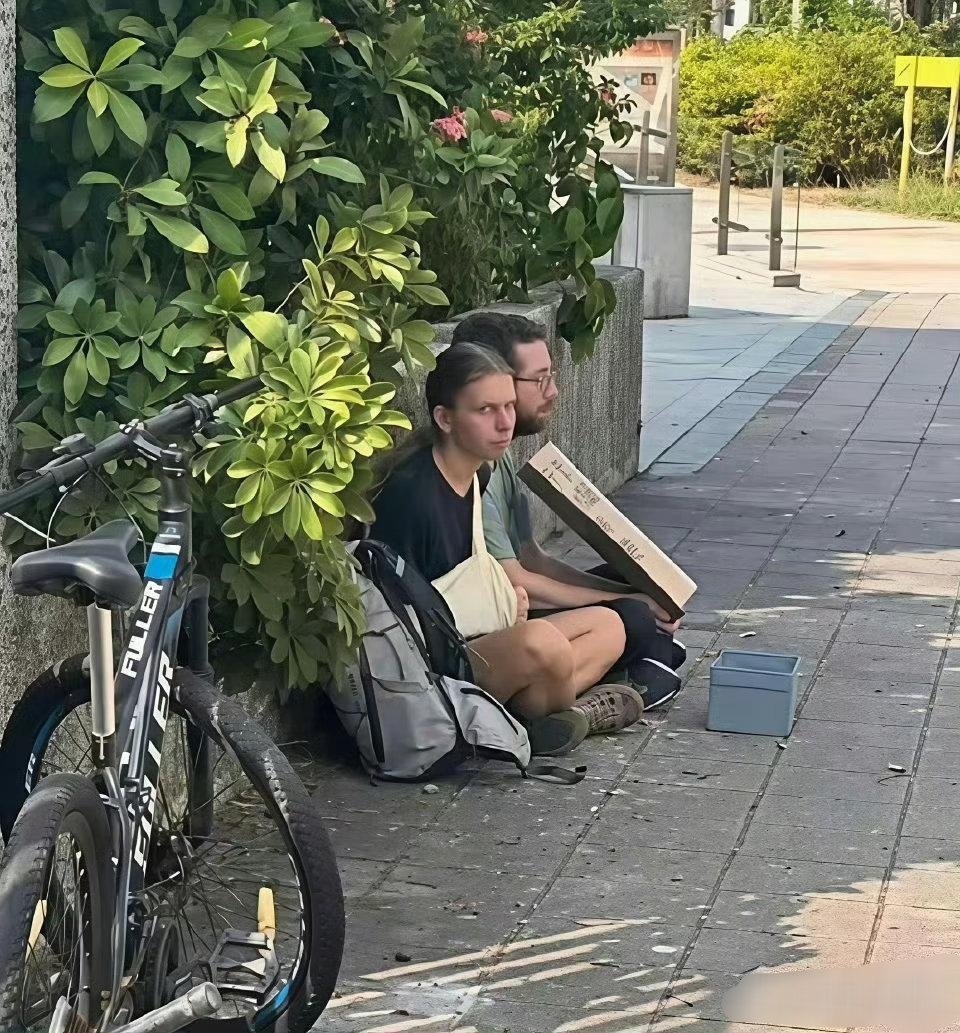 我怀疑他们是骗不到中国人的