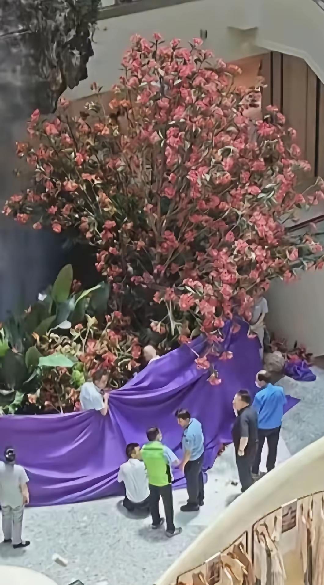 西安赛格严鹏的个人简历严鹏个人简历（公开信息整理）姓名：严鹏年龄：60+岁