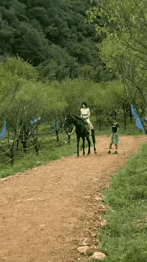 骑马也是一门学问，小姐姐这马术你怎么看