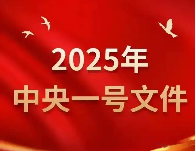 2025年中央一号文件对于农村老人养老基础金提高给出明确指导