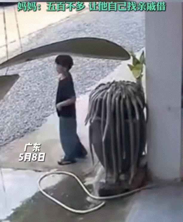 广东，一男孩顽皮，将一女子家门口养了6年的九尾狐多肉给烧了，被女子抓了个正着后，