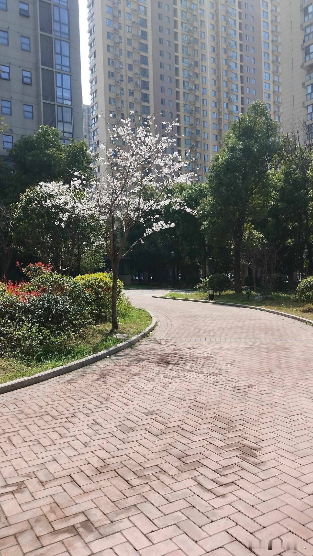 1.今早，在一新开不久的拉面店吃面，刚吃两口，对面来一男的也端了一碗放在桌上，然