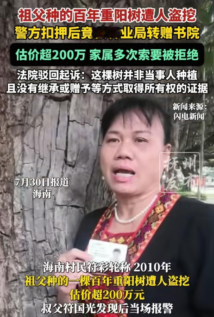 海南祖父种百年古树林业局移栽东坡书院。女举报人符彩轮已败诉，上诉被高院驳回。要