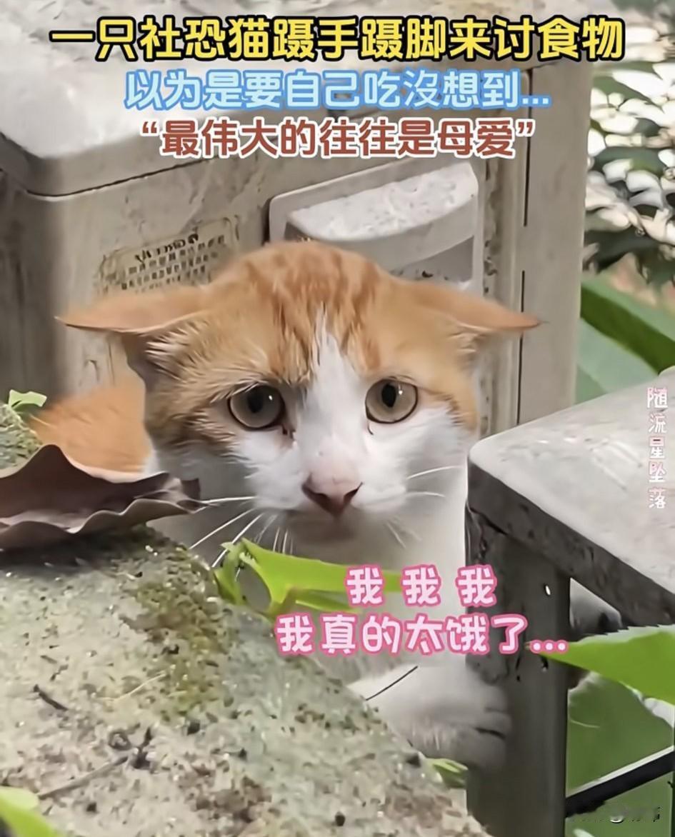 泪目了！这天一位小姐姐在家休息，她坐在窗边喝着奶茶看看书，偶尔看看窗外的绿树红花