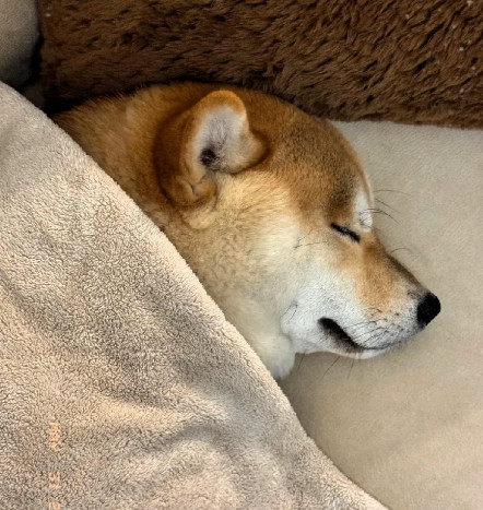 今天去我朋友家玩，一进他卧室我就惊呆了……