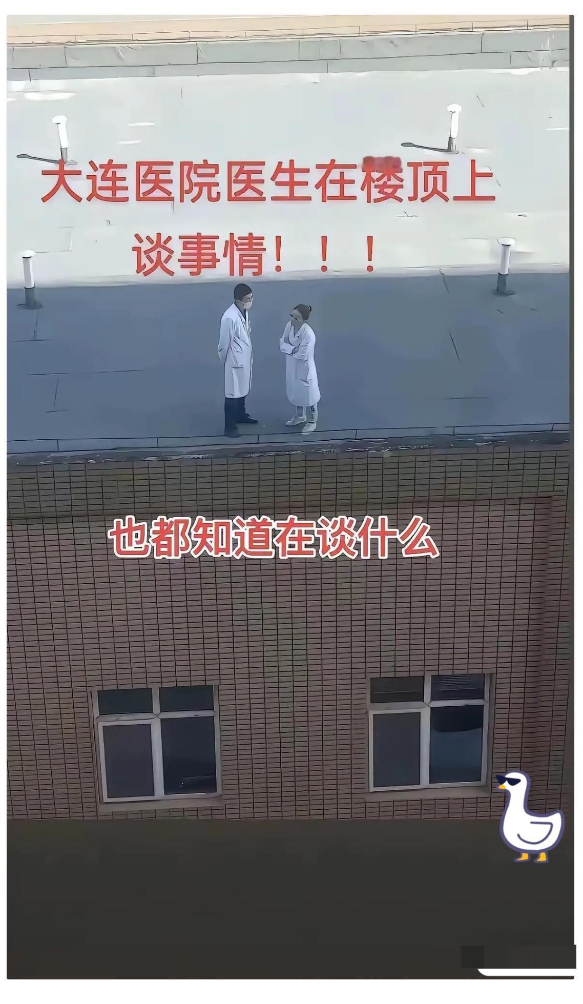 最近网络上出现了一张照片火了,照片的内容是大连某医院楼顶,一男一女医生在交谈。男