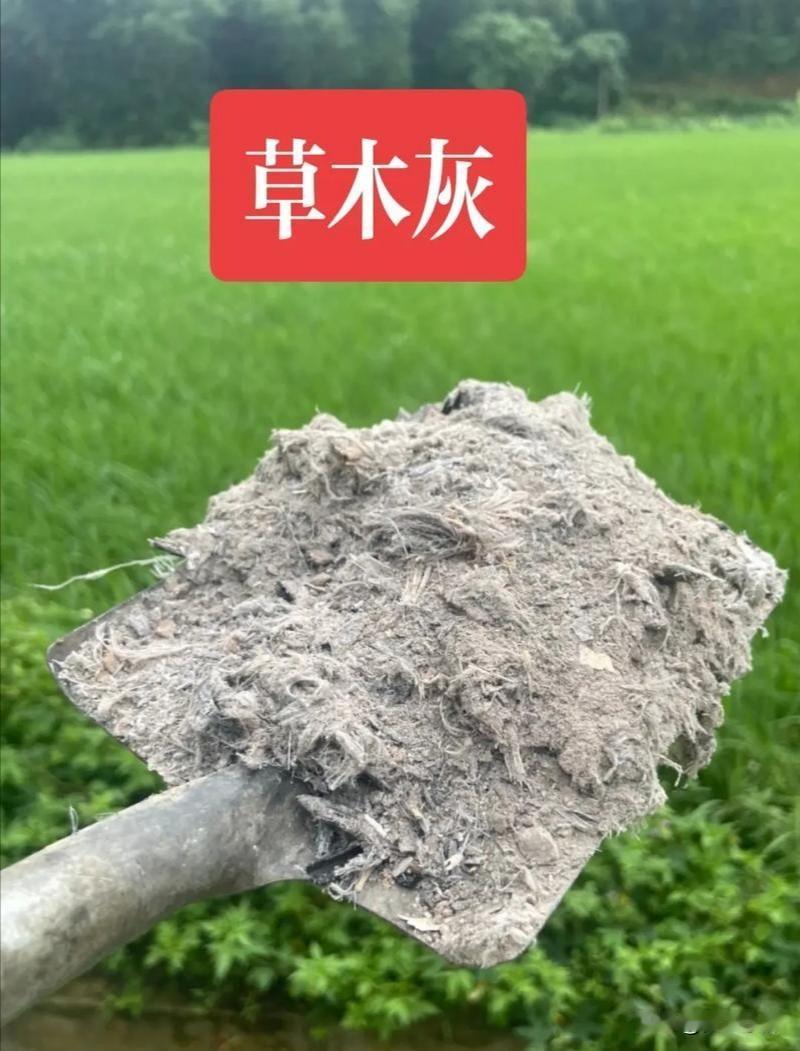 老农从不外传的，草木灰10种用法，用对一次顶10袋化肥草木灰看着普通，却是
