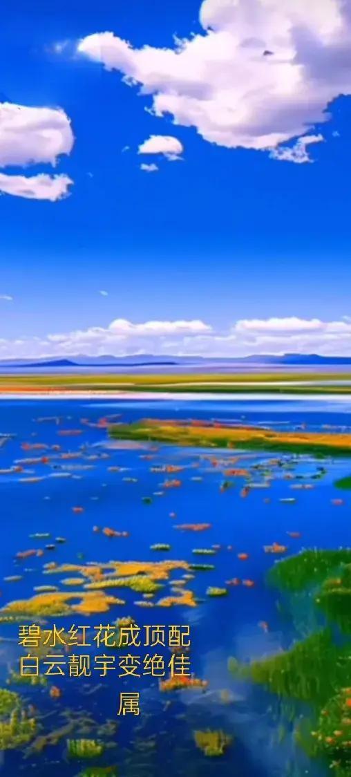 文笔挑战原上联：天上白云天上走对下联：河里流水河中流[呲牙笑][呲牙笑][给力