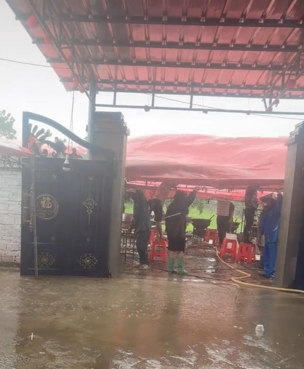台风天，雷州一对新人风雨无阻办婚礼。6月14日中午，强热带风暴“蝴蝶”在