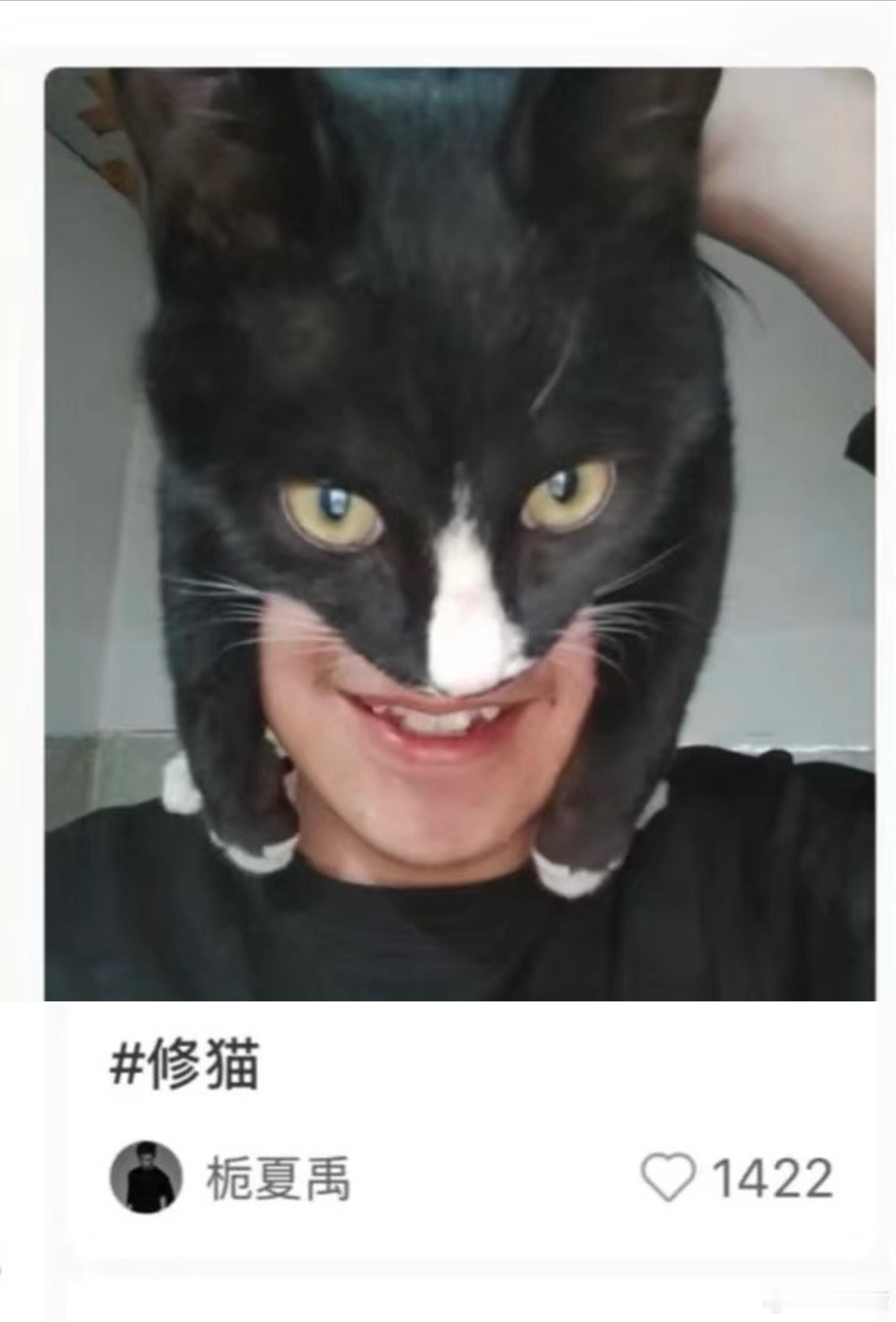 卧槽笑死我了