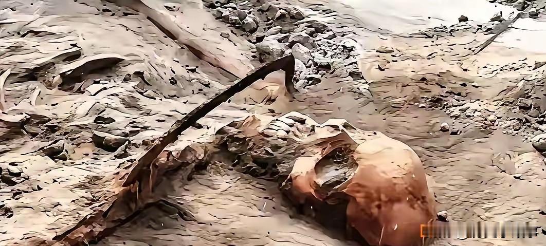 83年埋骨黄土！1068具遗骸出土，还原1941年豫南会战最惨烈一战106