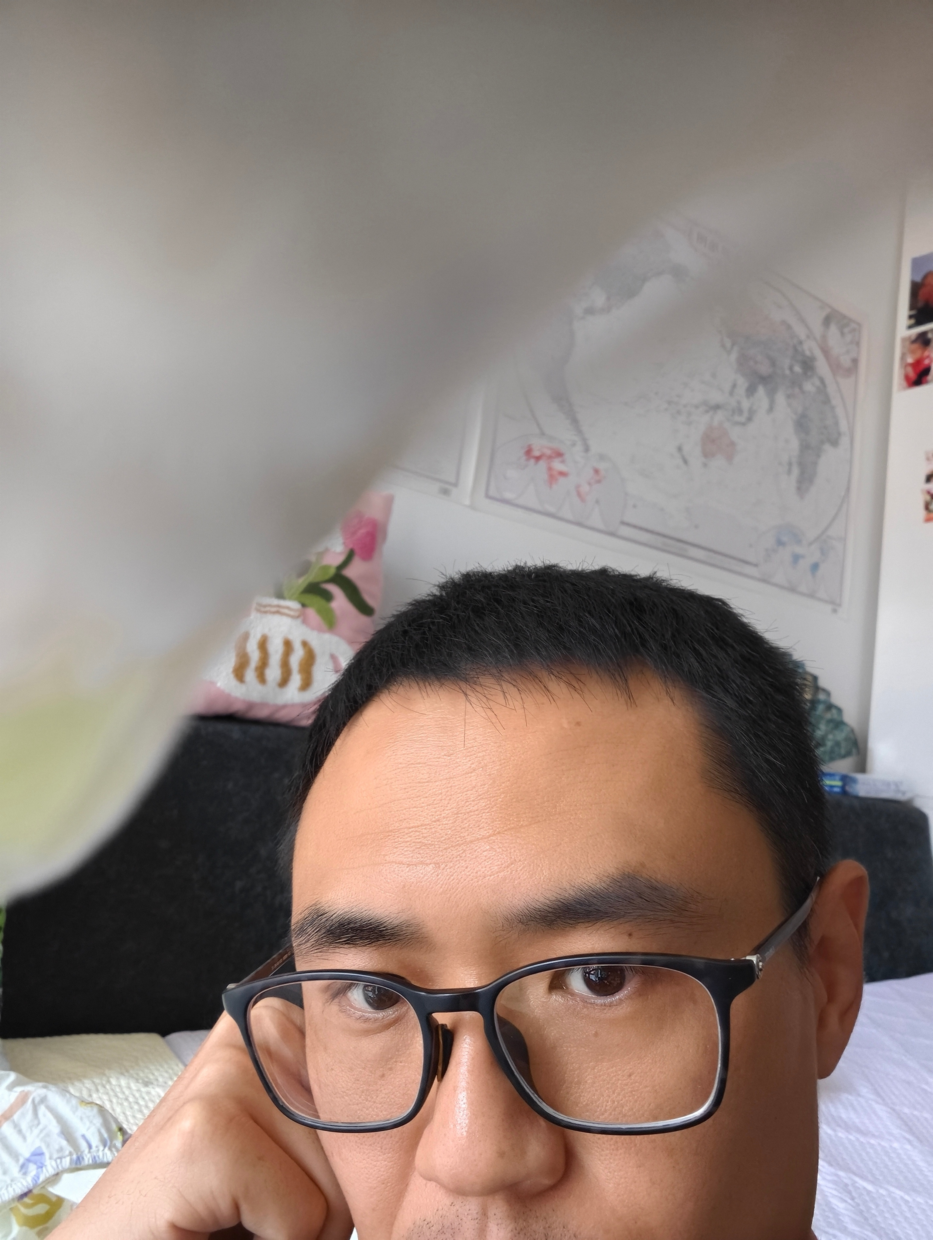 鹦鹉喜欢站在手机上，是一种什么习性？鹦鹉小蓝和布丁​​​