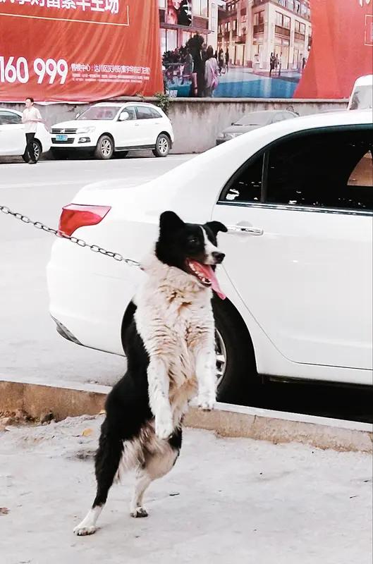 人固有一死,怎么不能活的潇洒些?反正结局都一样，中间这段路走得憋屈还是痛快，全