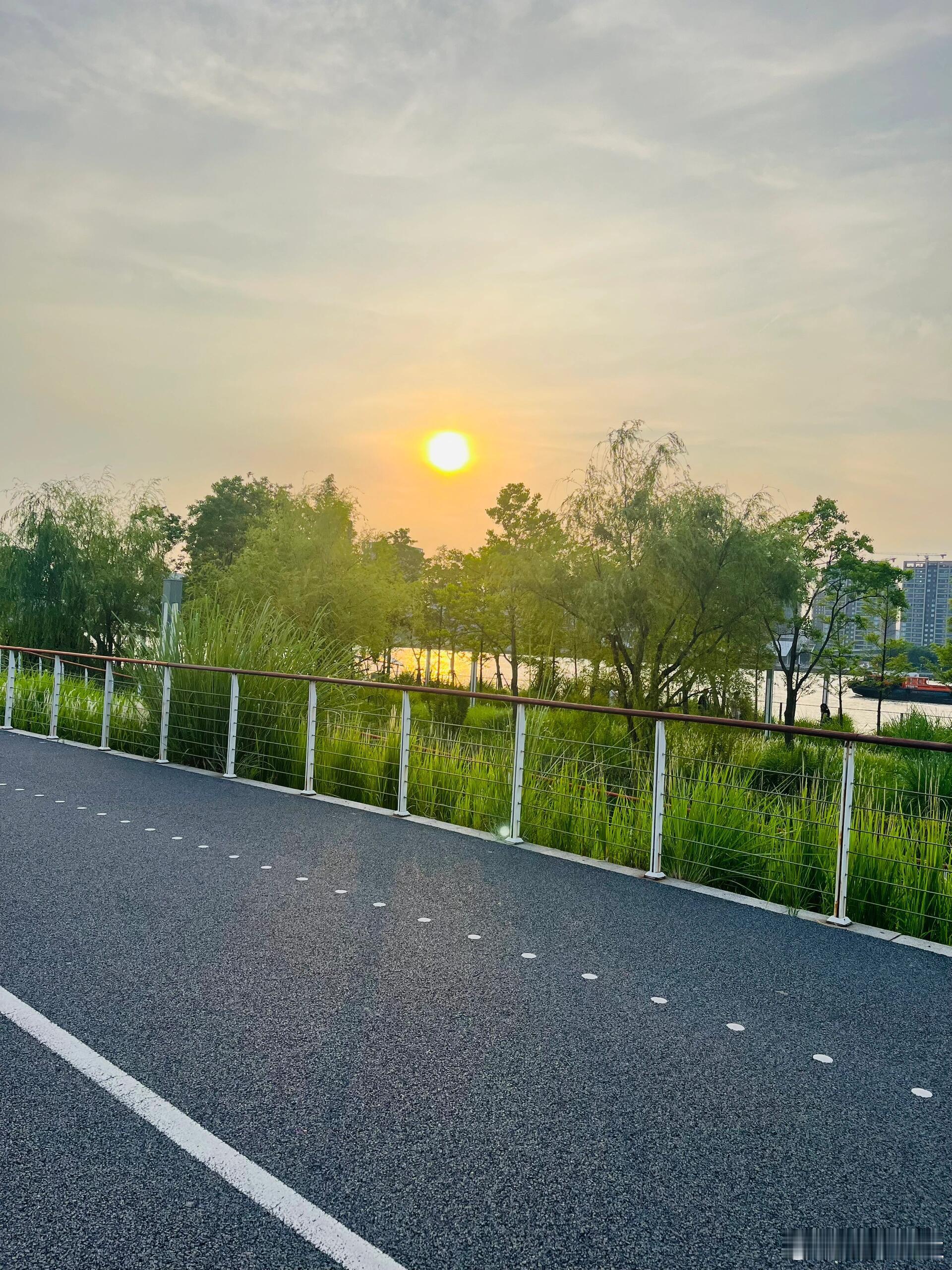 上海落日骑行天花板！15km追光路线，江风芦苇+陆家嘴天际线浪漫同框✨——从前滩