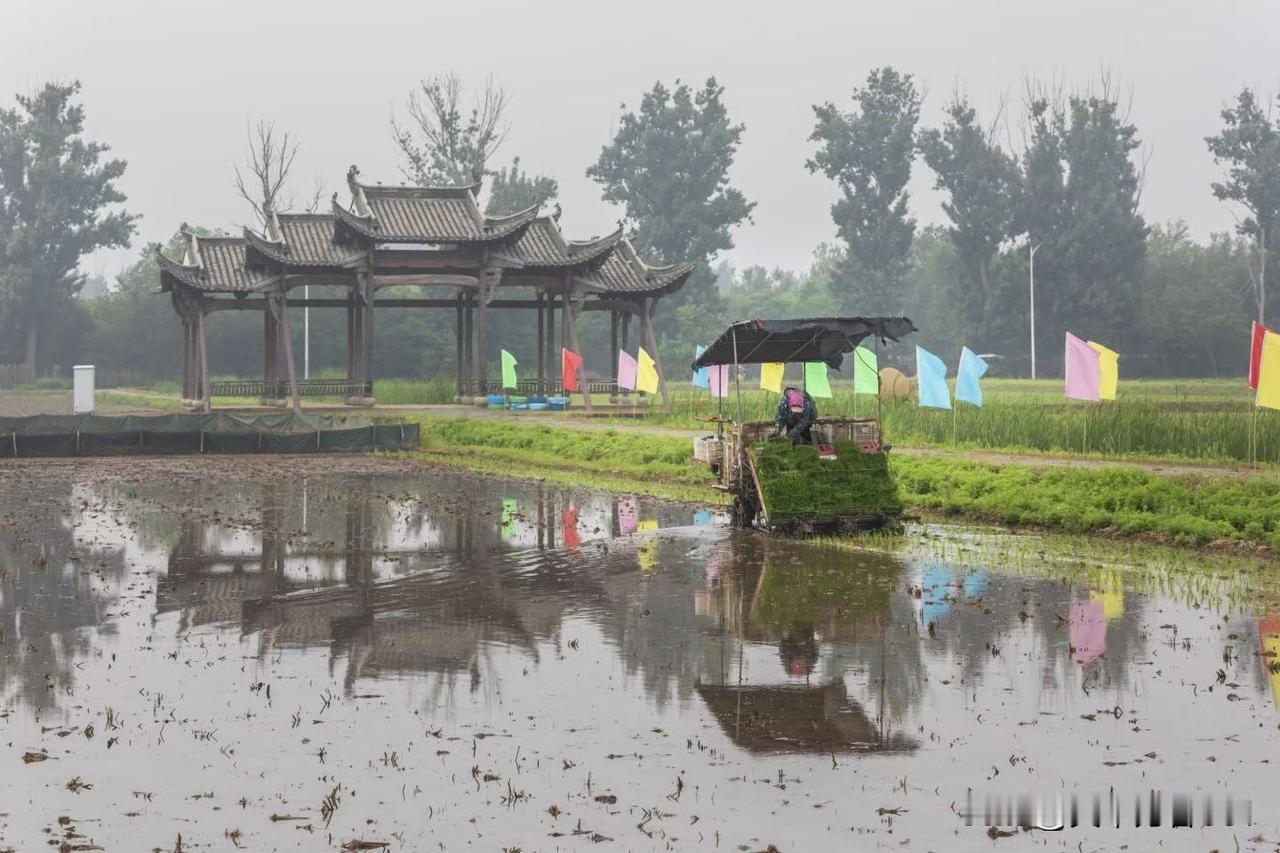 旅行随手拍