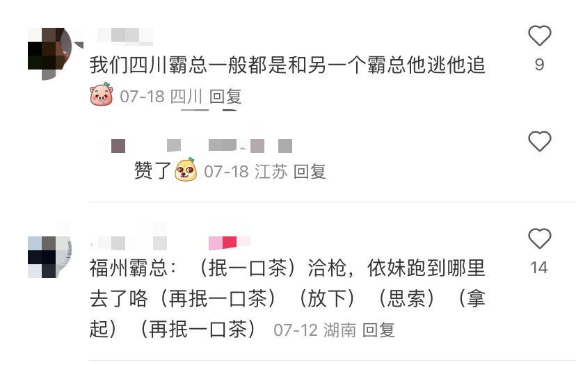 要笑死，每个省都自己的霸总文学