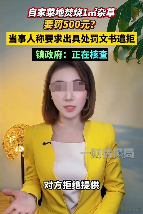 “有权更不能任性！”河南，女子在自家露天焚烧1平米左右的杂草，由于烟雾太大，被村
