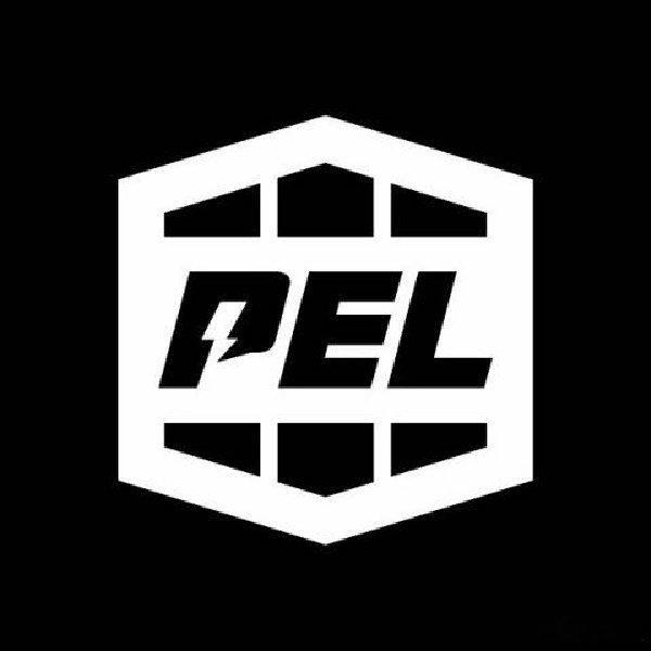 王者荣耀AG六连冠，英雄联盟T1三连冠，和平精英什么时候能有一只绝对强队能拿下比