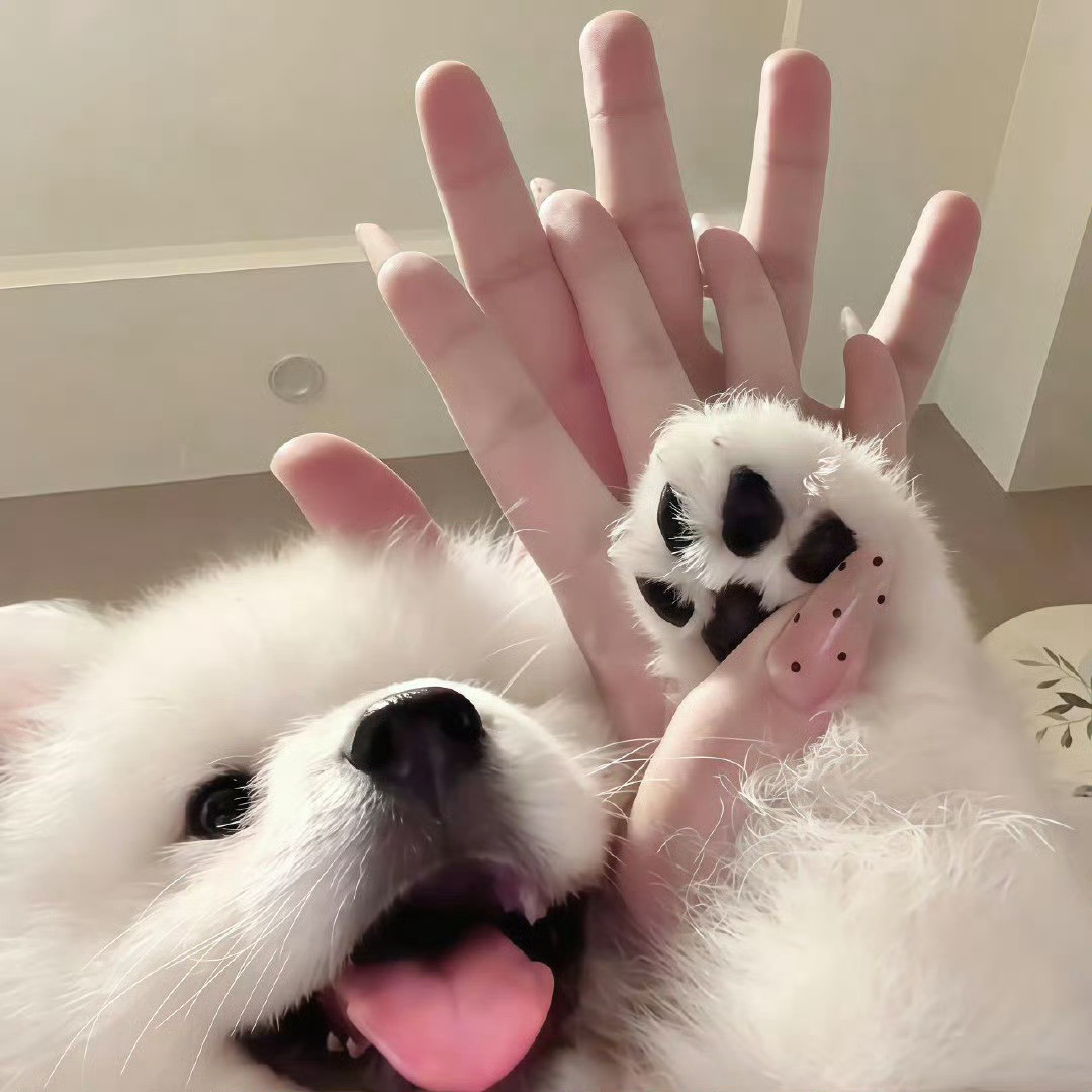 言情小说又来补上3.14📚300+可以迟到但不能没有