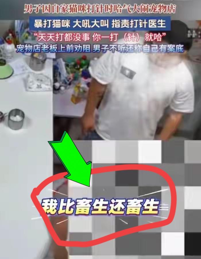 “不以为耻反以为荣！”青海西宁男子带猫咪打针，猫咪哈人遭主人暴揍，医生劝阻反被怼