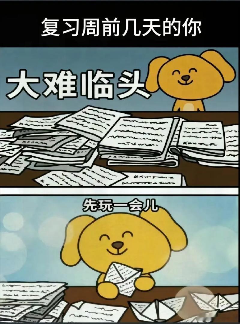 考前真的会突然想学习以前老师总是讲，临阵磨枪，不快也光。我也是这样，又想考高分，