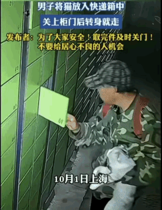 这人怕是没养过猫。男子抱着银渐层来到快递柜前，打开空柜门后把猫塞进去，锁上门