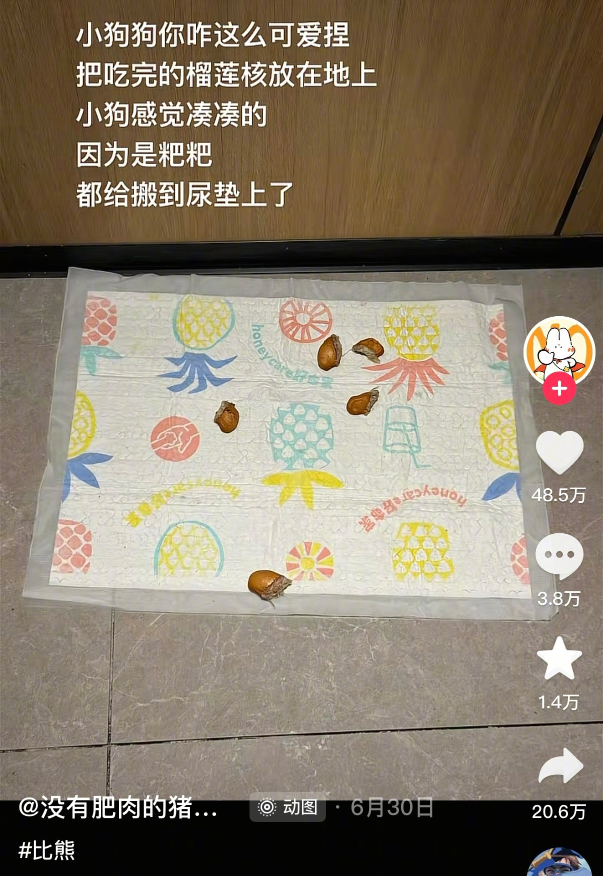 世界上最萌的评论区出现了​​​