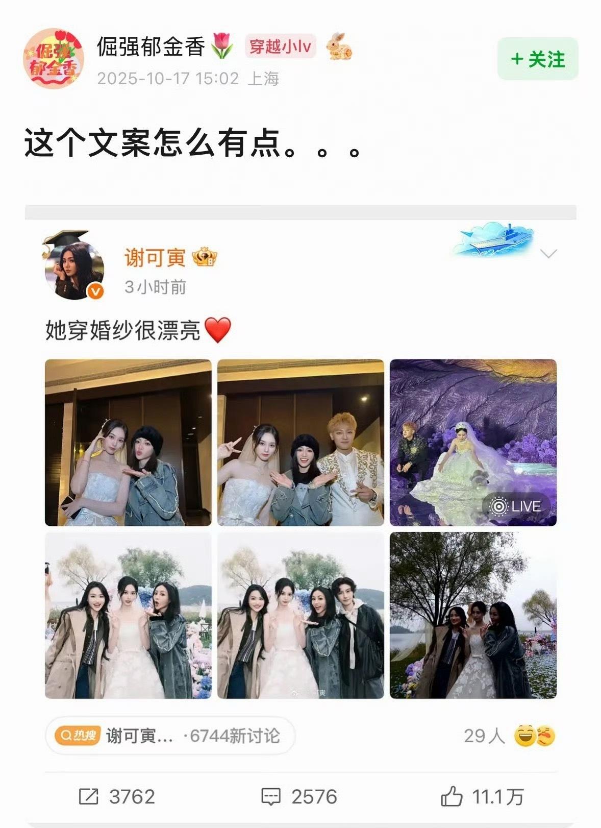 谢可寅的文案哈哈哈哈哈哈哈​​​