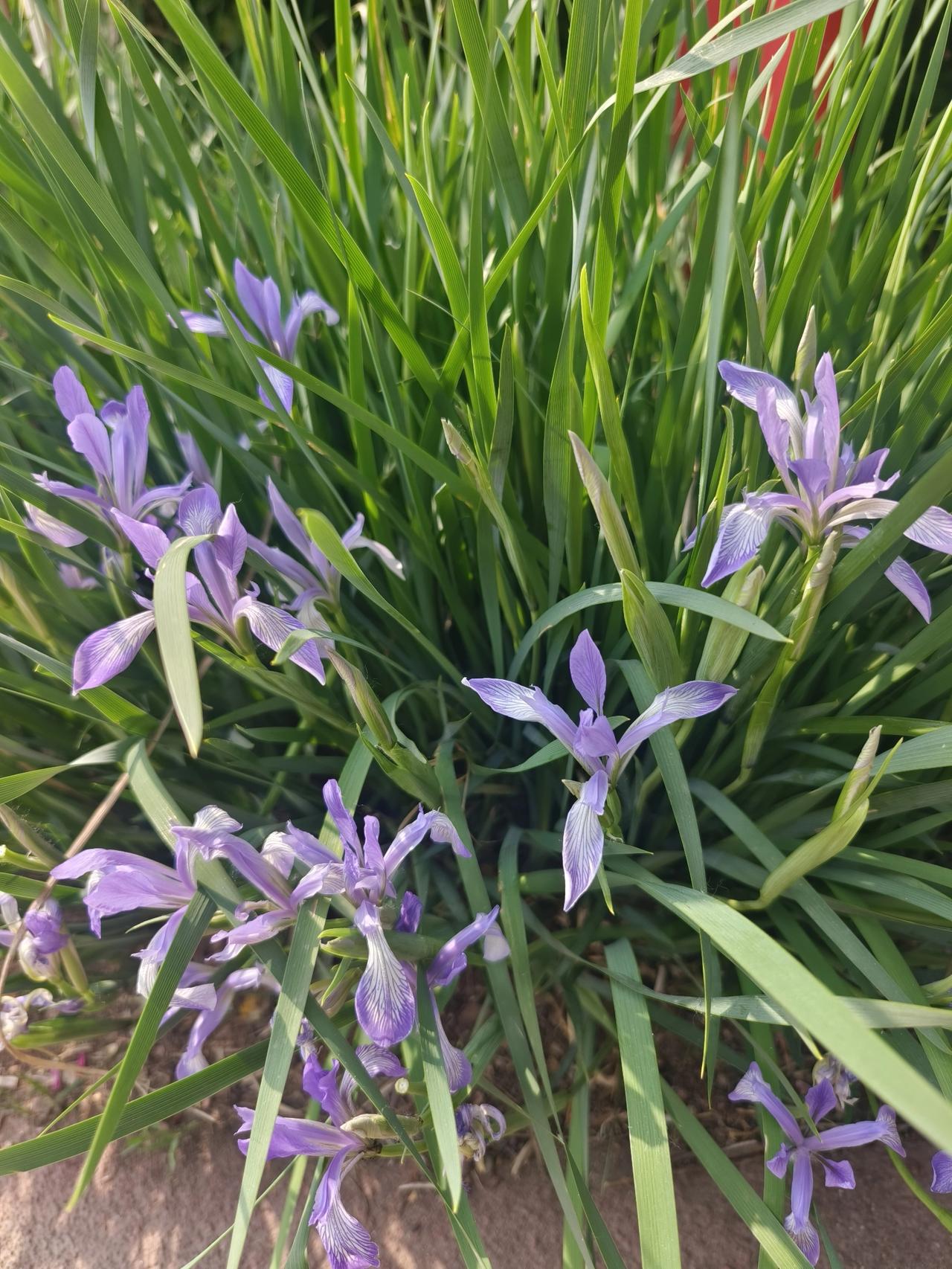 原来真有一种感情，一天没有联系就坐立不安。要是到了晚上睡觉的时候，依然没有收到