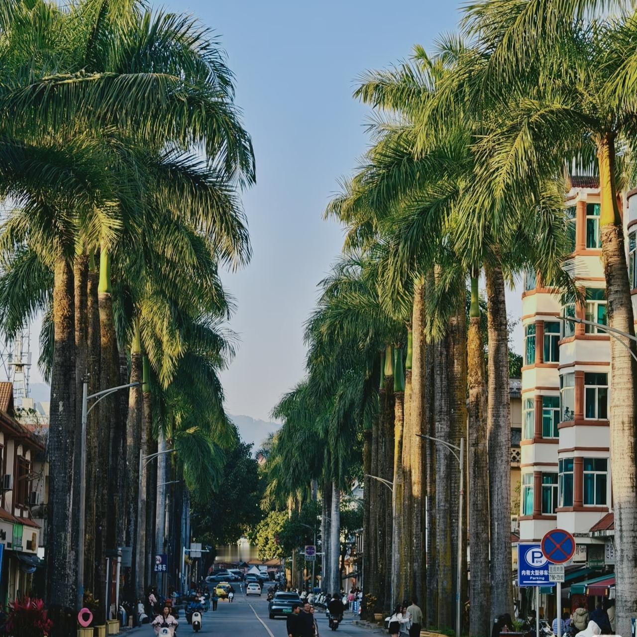 去了一趟芒市，心里一直揣着三个问号，特别想请教当地的朋友！1. 为什么芒市