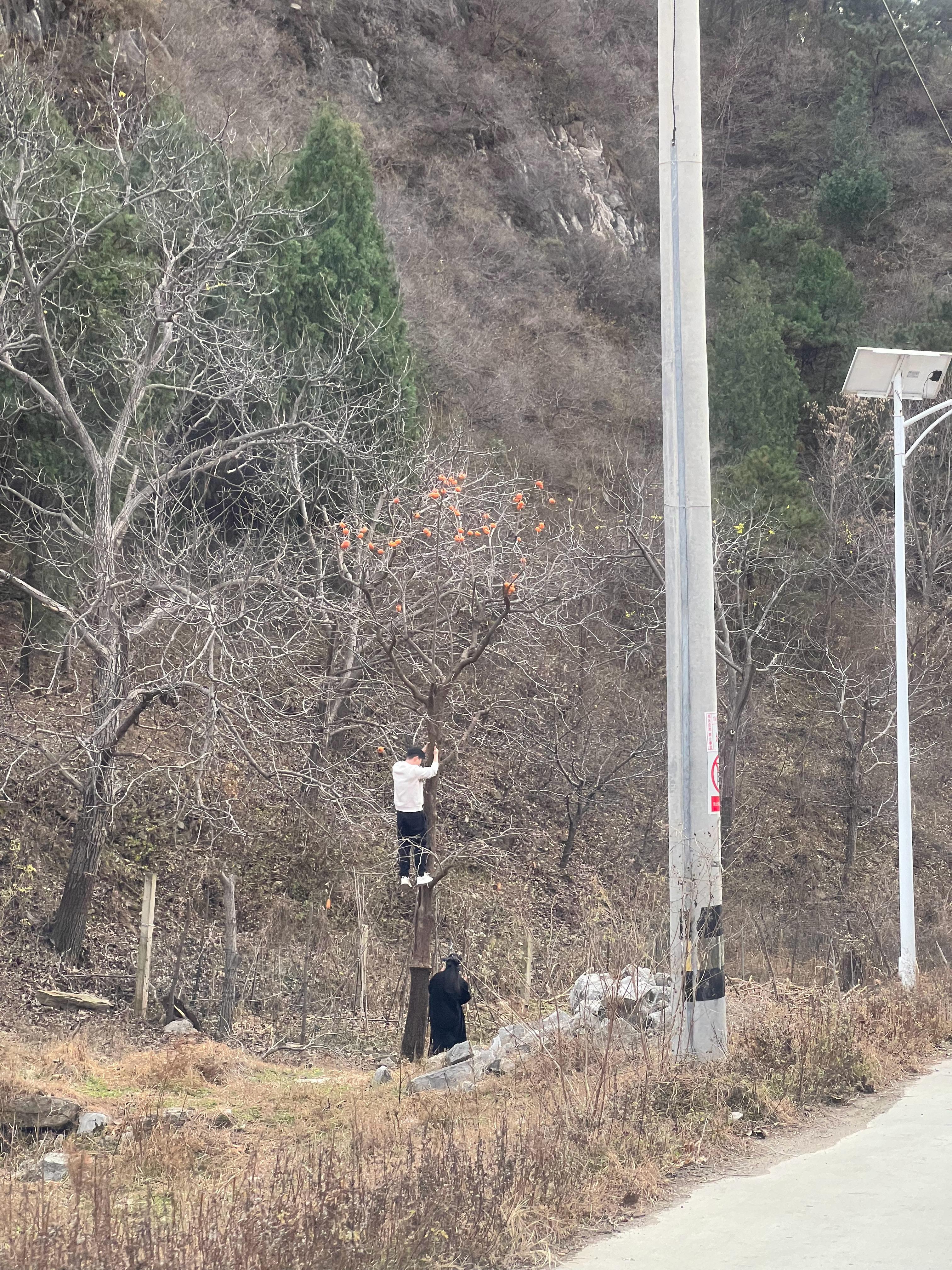 这个男人做了我一直想做的事