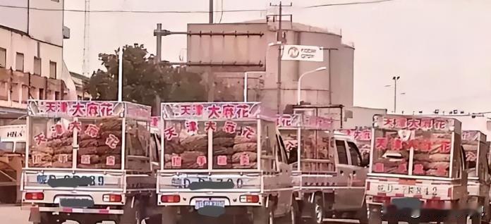 2000年，神秘组织“天津大麻花”，明明没人买却走遍全国，如今才彻底明白，里面竟