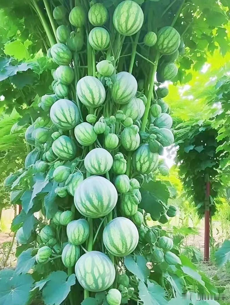 认知越透，越懂人性口米恩，斗米仇；恩将仇报；看不见别人过得好；翻脸比翻书快……