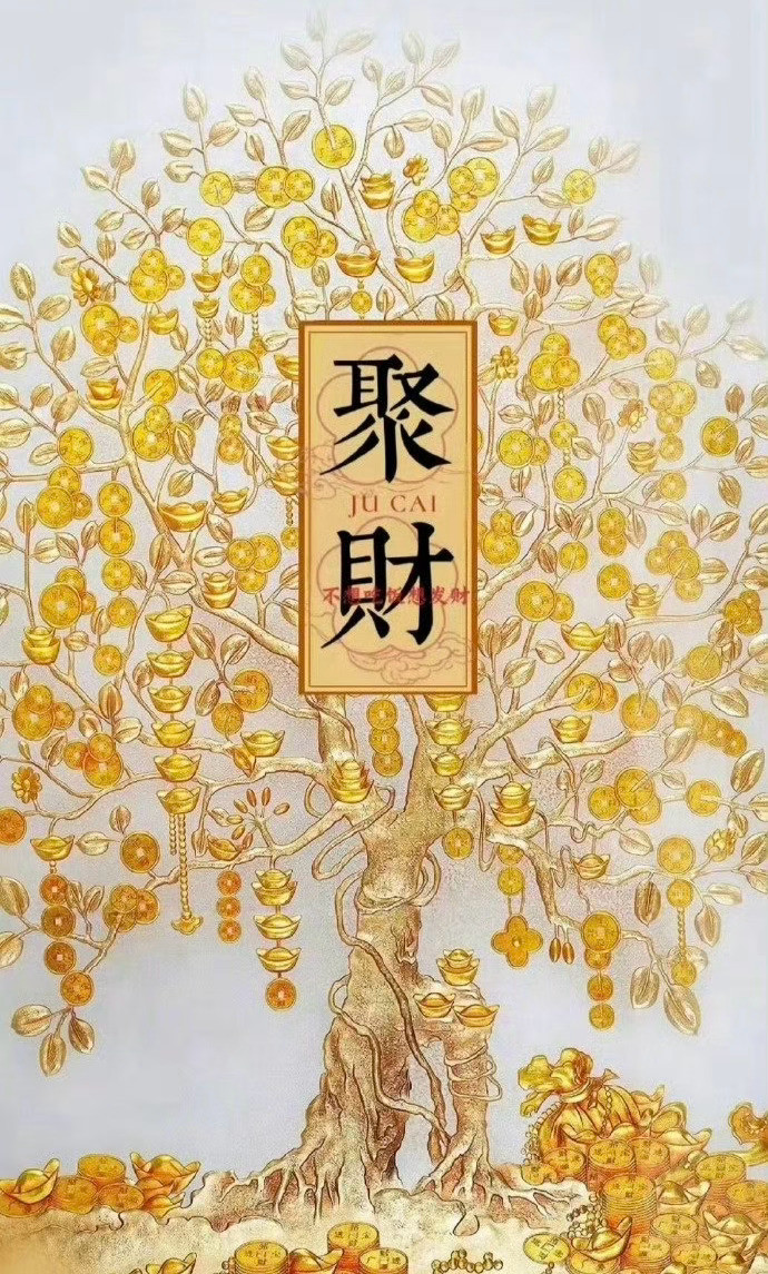 有灵性的发财树，聚财聚福聚好运。