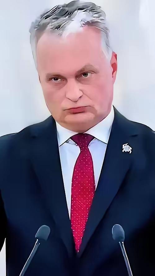 立陶宛总统瑙塞达近日竟然在电视台上毫无廉耻地说：设立在立陶宛的“台湾代表处”，要