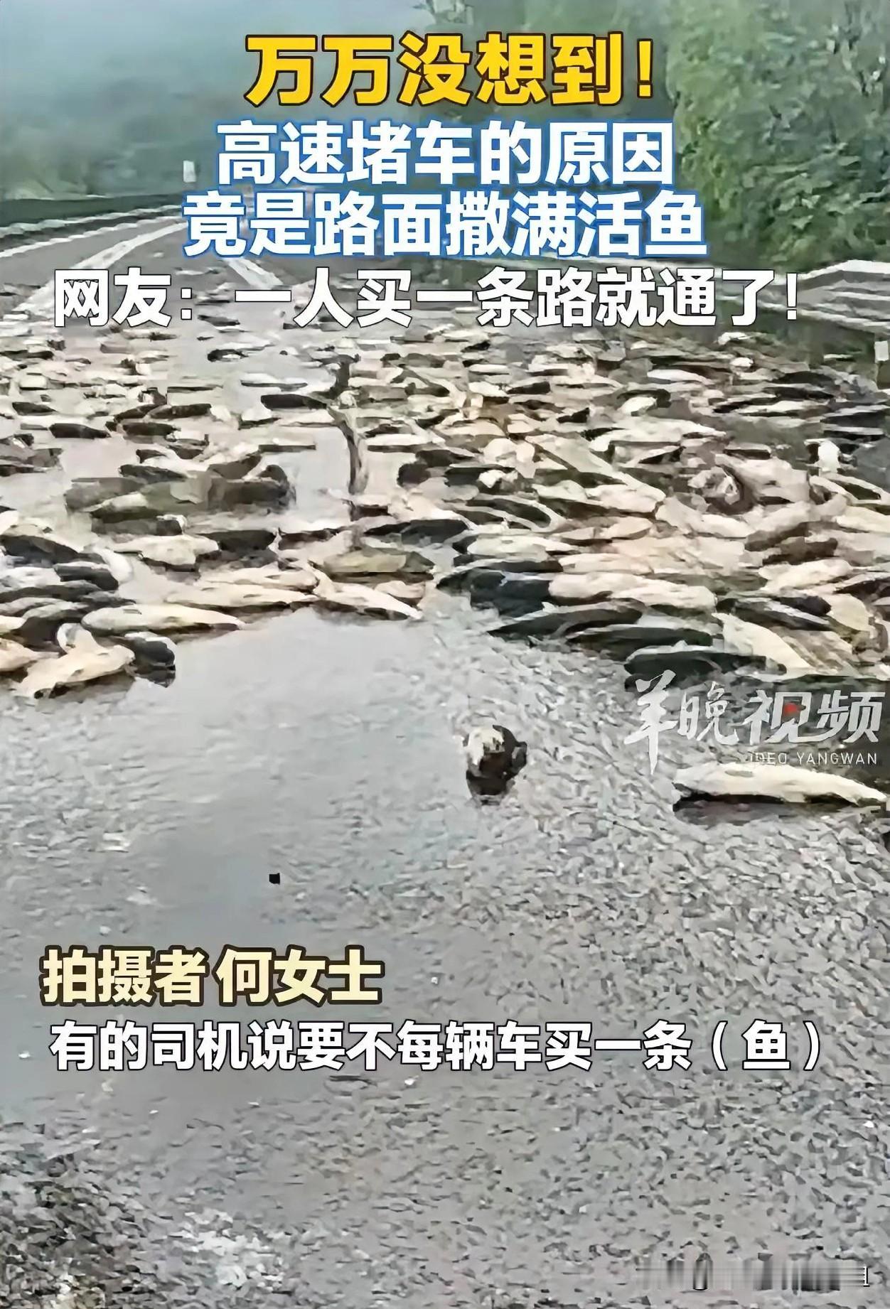 这个堵车原因是真的没想到！湖南，女子遇到高速堵车，来脾气的她走到最前面，非要看看