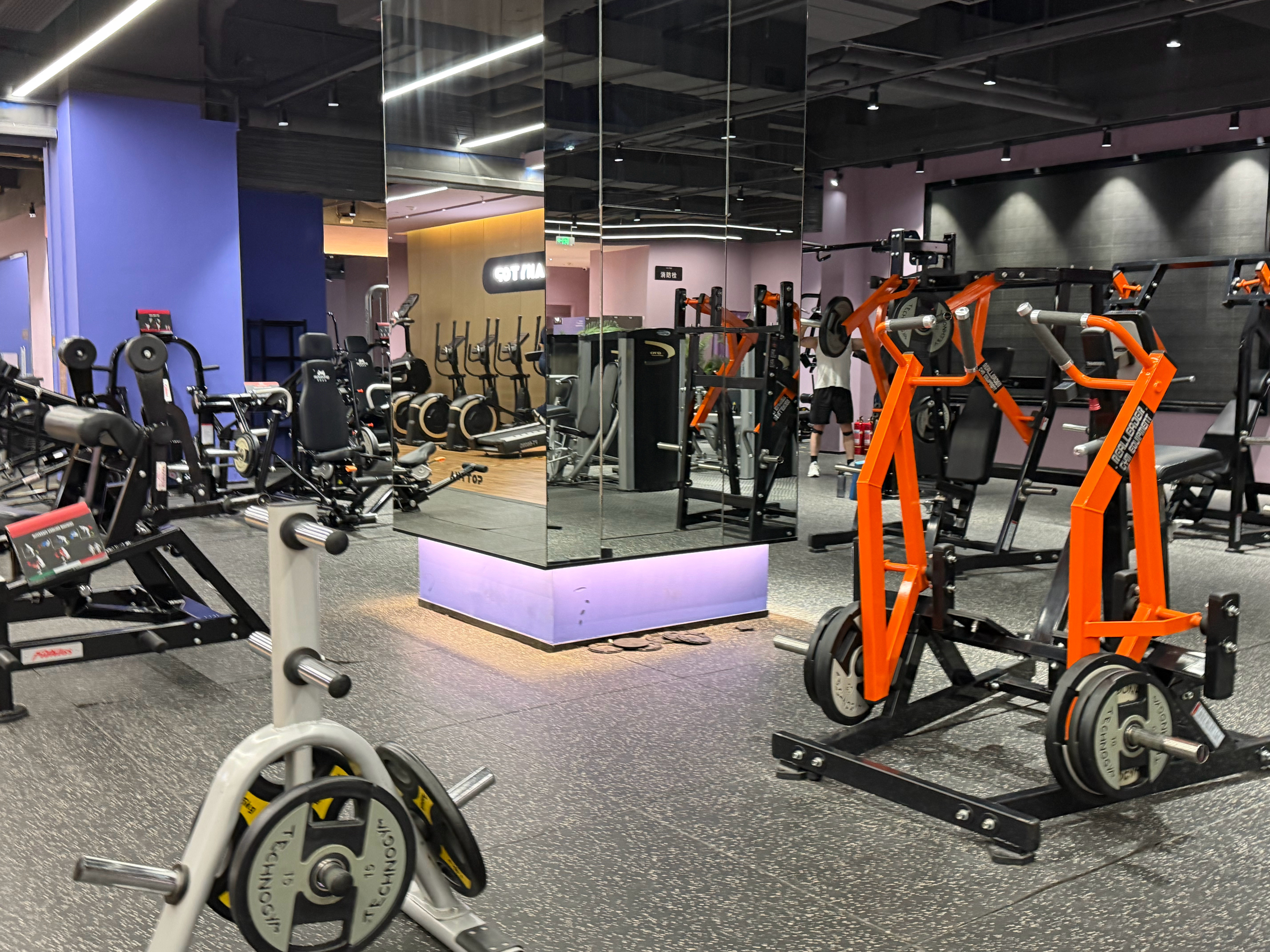 2026年第十二次健身房打卡12/100